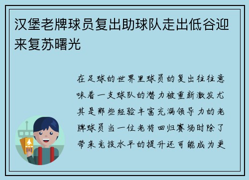 汉堡老牌球员复出助球队走出低谷迎来复苏曙光